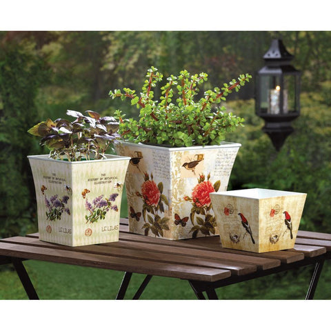 Image of Butterfly Planter Trio 10015179