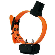 Image of DT_Systems_Add-On_BEEPER_Collar_Receiver_Orange_2_360x